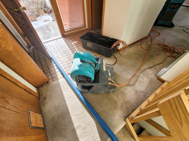 Best Water damage mitigation services  in Grant Valkaria, FL
