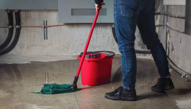 Best Flood restoration services  in Grant Valkaria, FL