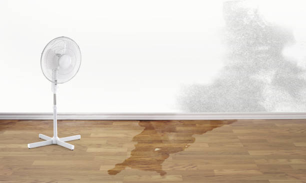 Best Fire Damage Restoration  in Grant Valkaria, FL