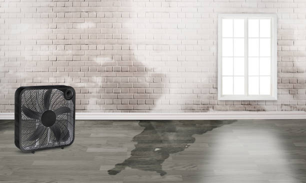Best Residential water damage restoration  in Grant Valkaria, FL