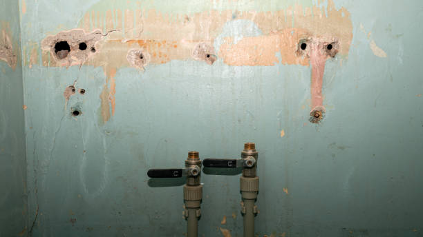 Best Commercial water damage restoration  in Grant Valkaria, FL