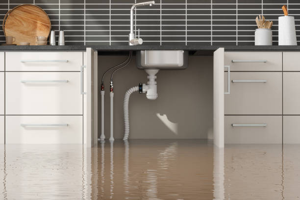 Best Flooded house restoration  in Grant Valkaria, FL