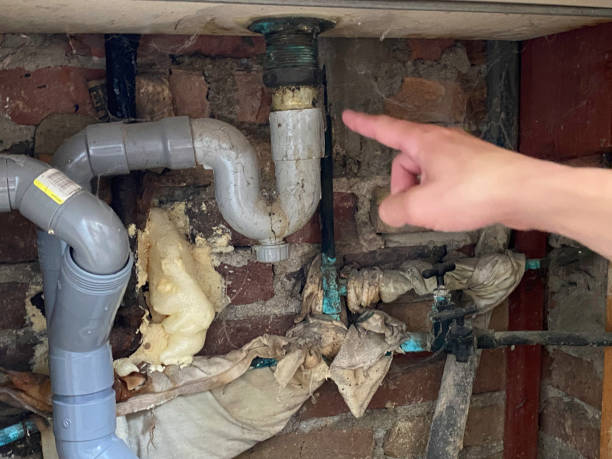 Best Carpet water damage restoration  in Grant Valkaria, FL