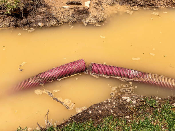 Best 24/7 water damage repair  in Grant Valkaria, FL