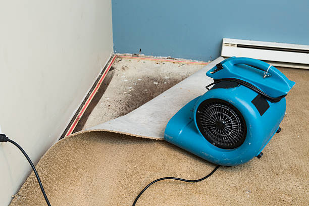 Best Water damage contractors near me  in Grant Valkaria, FL